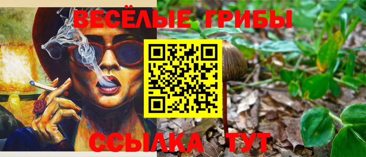 ГАШИШ  Вход с VPN  Метамфетамин  Анапа  ТГК  МЕФ   Купить наркотики цена  ГЕРОИН  Каннабис 