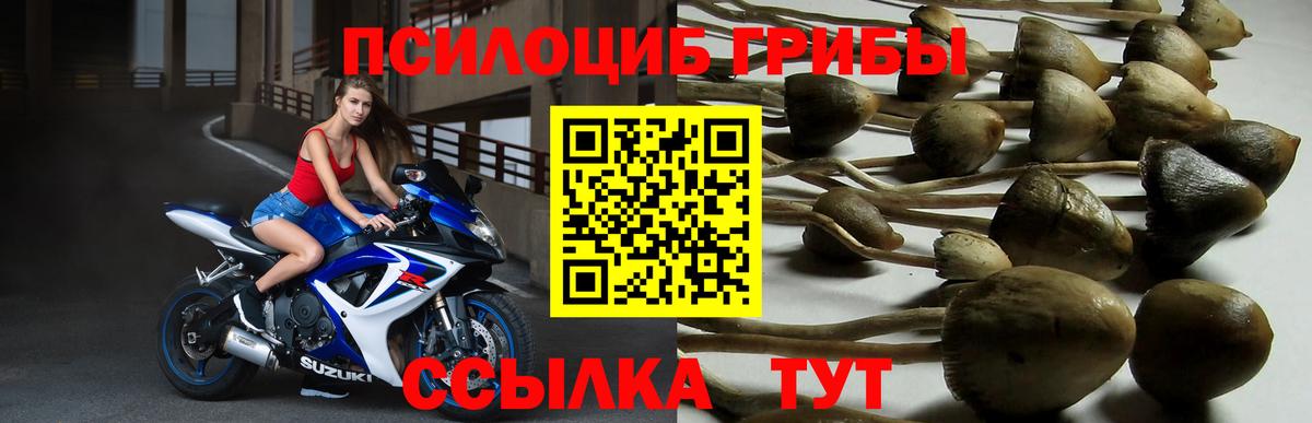 Анапа  Галлюциногенные грибы ЛСД  купить закладку  Галлюциногенные грибы Psilocybe  Вход с VPN 