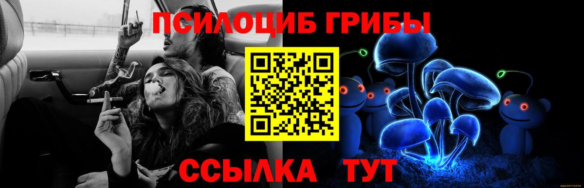Псилоцибиновые грибы Psilocybine cubensis Анапа